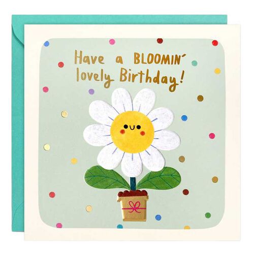 James Ellis Stevens Bloomin Lovely Birthday Card