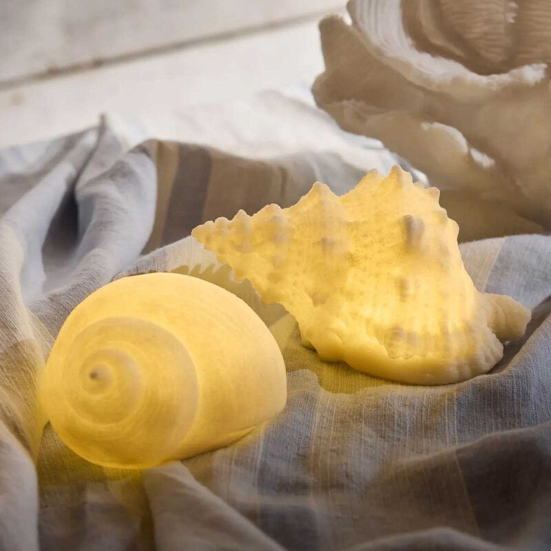 French Country Conch Shell Decorative Light image number 1