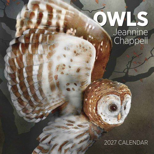 Pomegranate Owls Wall Calendar 2027