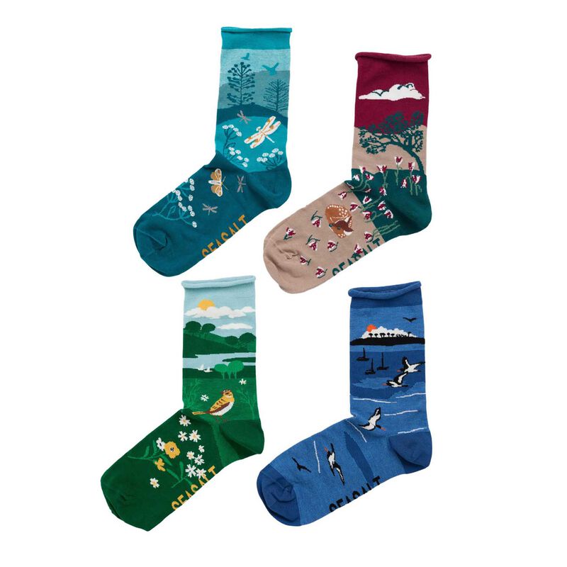 Seasalt Cornwall Gift Box of 4 Arty Socks Scenic Signpost Mix image number 0