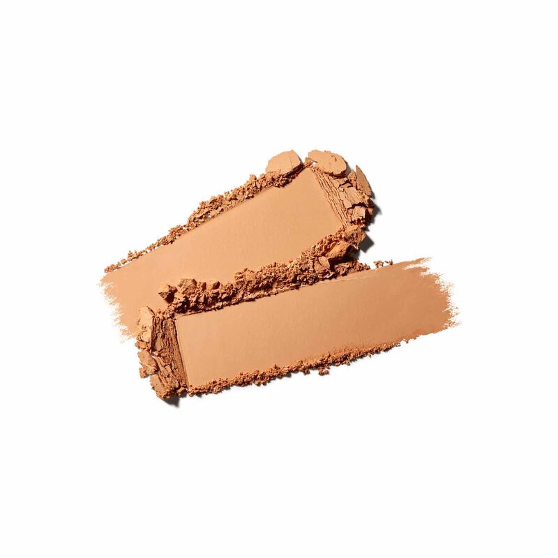 MAC Studio Fix Powder Plus Foundation image number 73