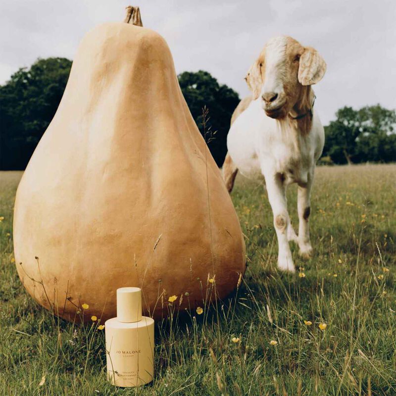Jo Malone London Velvety Butternut Cologne 30ml image number 2