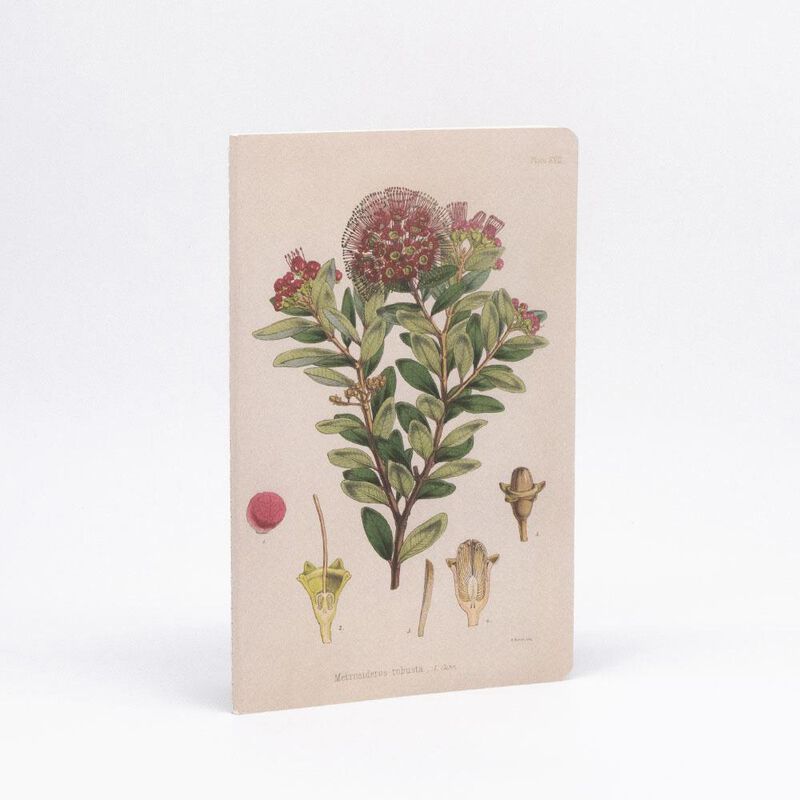 Botanical Illustration Notebook Set image number 1