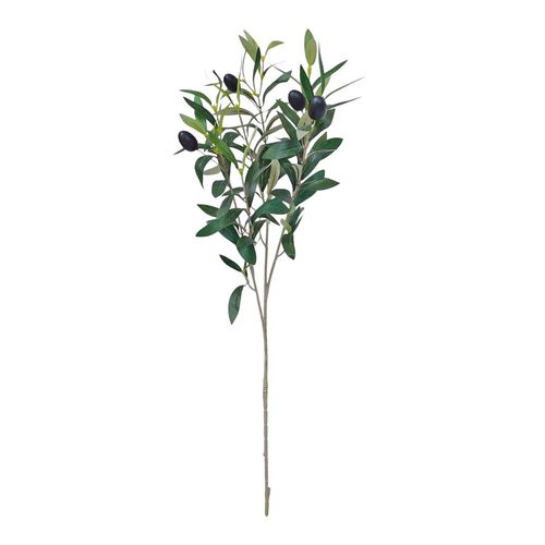 Alison's Acquisitions Olive Branch 70cm