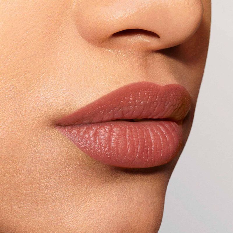 Estée Lauder Pure Color Explicit Silk Matte Lipstick image number 21
