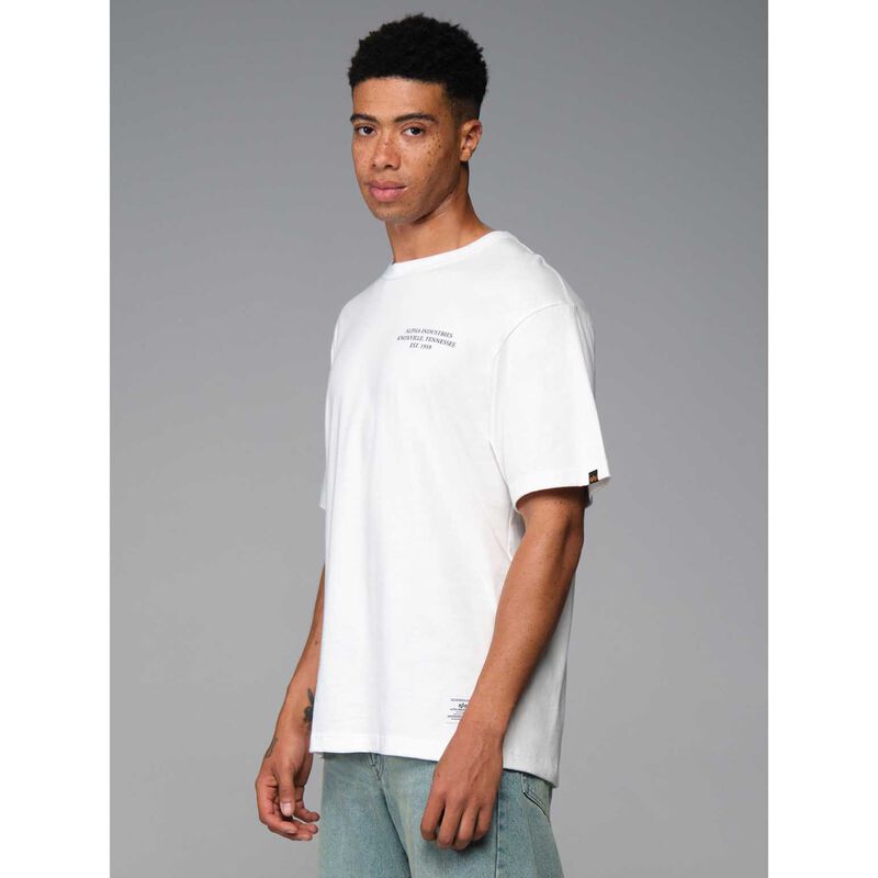 Alpha Industries Essential Relaxed Fit Tee (Dragon) image number 3