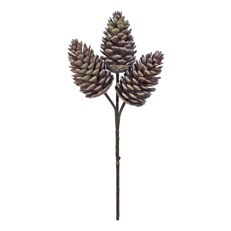 Pine Cone X 3 image number 0