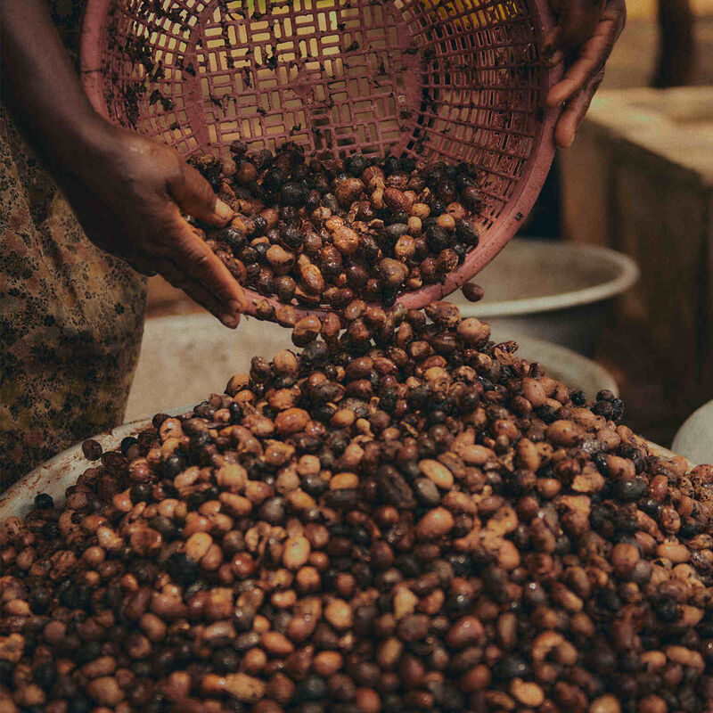 L'Occitane Shea Discovery Collection image number 2