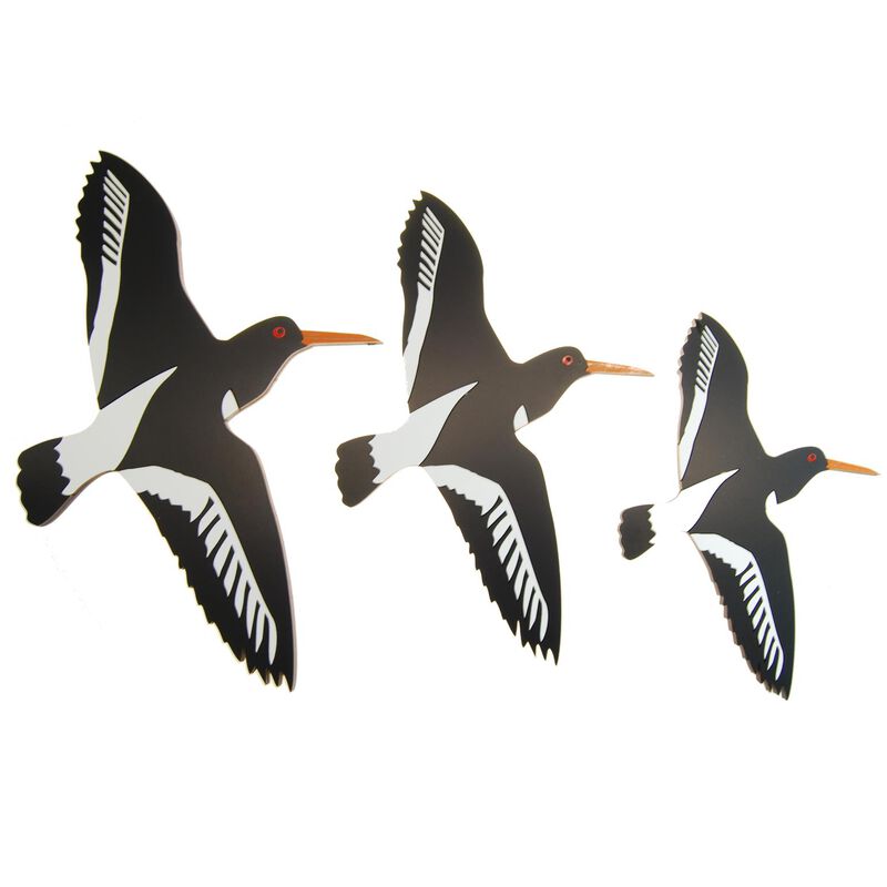 Ian Blackwell Nz Airways Oyster Catcher Trioset image number 0