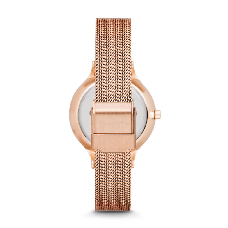Skagen Anita Rose Gold-Tone Analogue Watch SKW2151 image number 1
