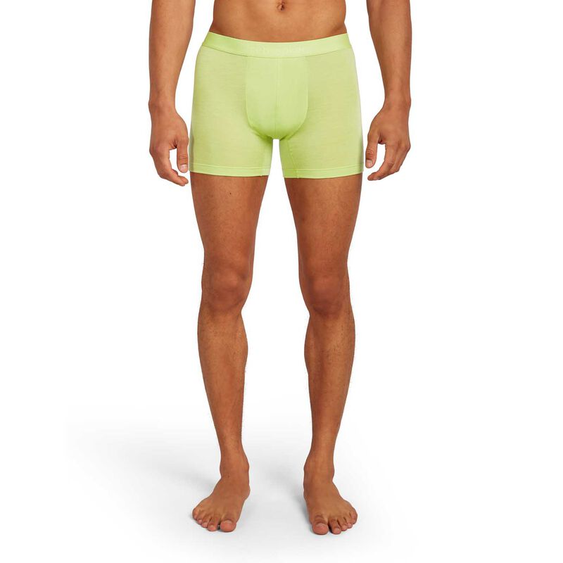 Icebreaker M Merino Blend 125 Cool-Lite Anatomica Boxers image number 12