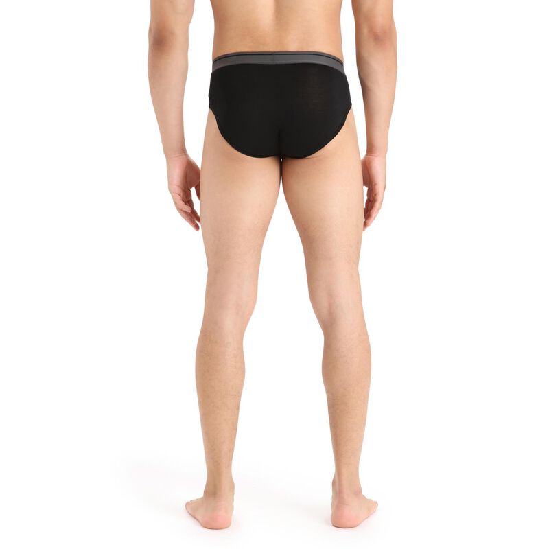 Icebreaker Mens Anatomica Briefs image number 1