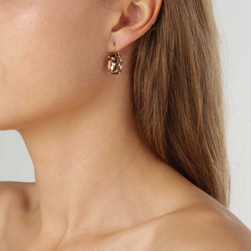 Dyrberg Kern Chantal Sg Brown Earring image number 1
