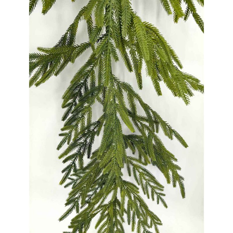 Norfolk Pine Garland 6' image number 1