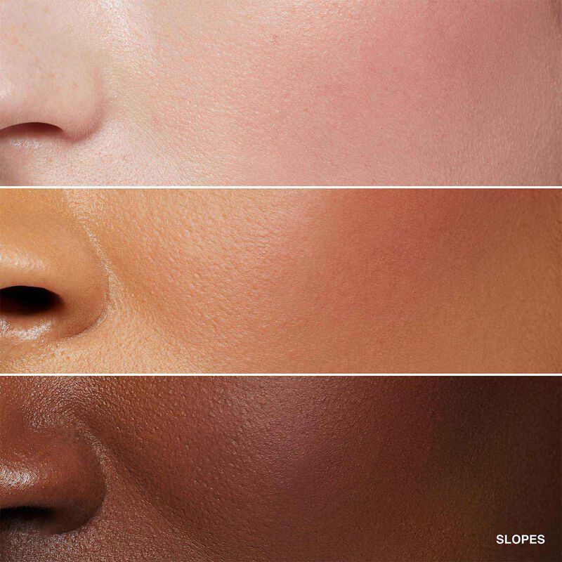 Bobbi Brown Powder Blush image number 11