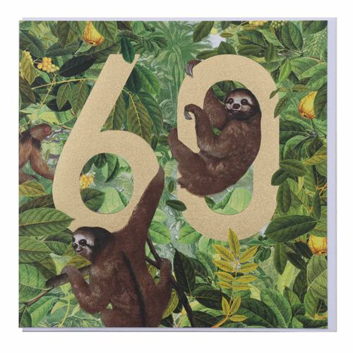 Museums & Galleries Sloths 60 Card