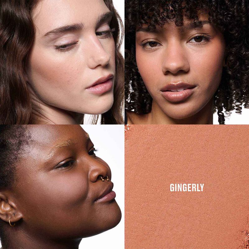 MAC Skinfinish Colourstruck Blush image number 18