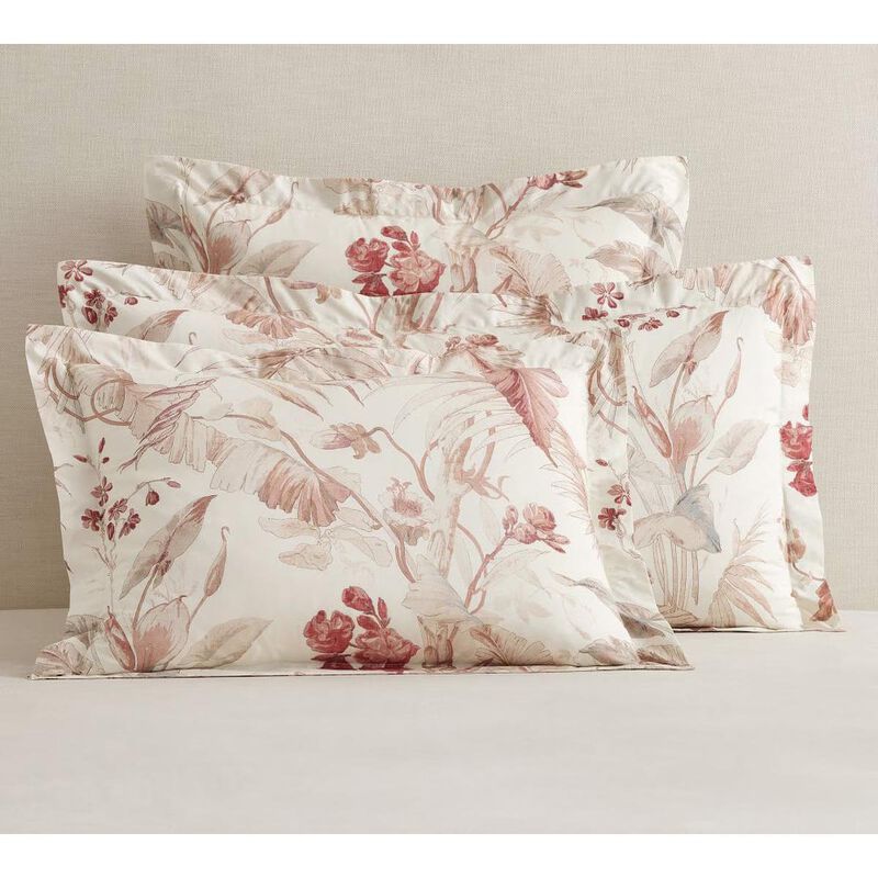 Pottery Barn Shea Botanical Shams Euro Multi image number 2