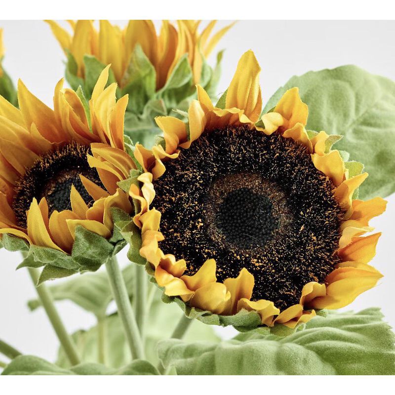 Pottery Barn Faux Sunflower Bundle Yellow image number 1