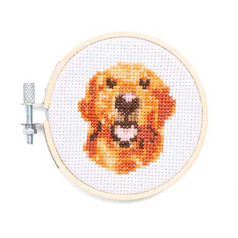 Kikkerland Mini Cross Stitch Embroidery - Dog image number 3