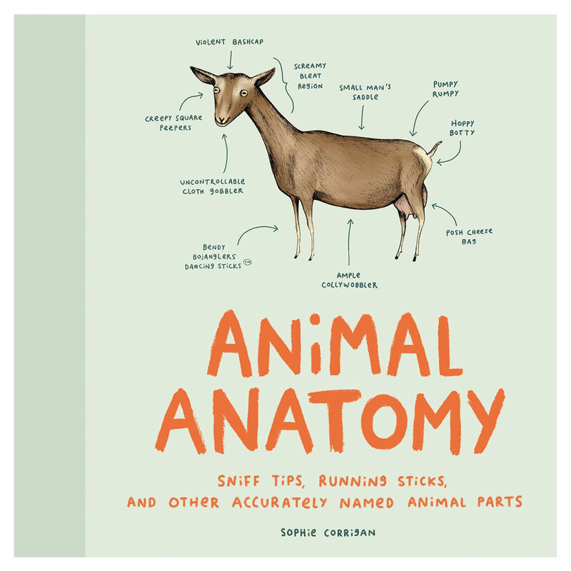 Animal Anatomy by Sophie Corrigan image number 0