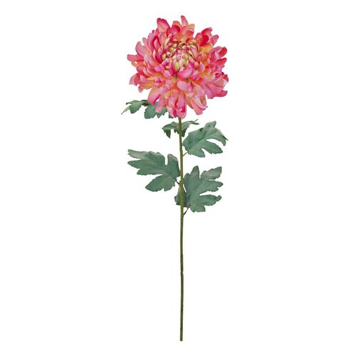 Alison's Acquisitions Mum Spray Pink