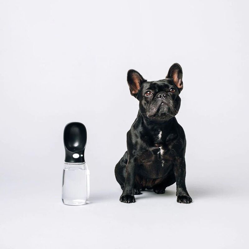 ThirstyDog Water Bottle - Black image number 2