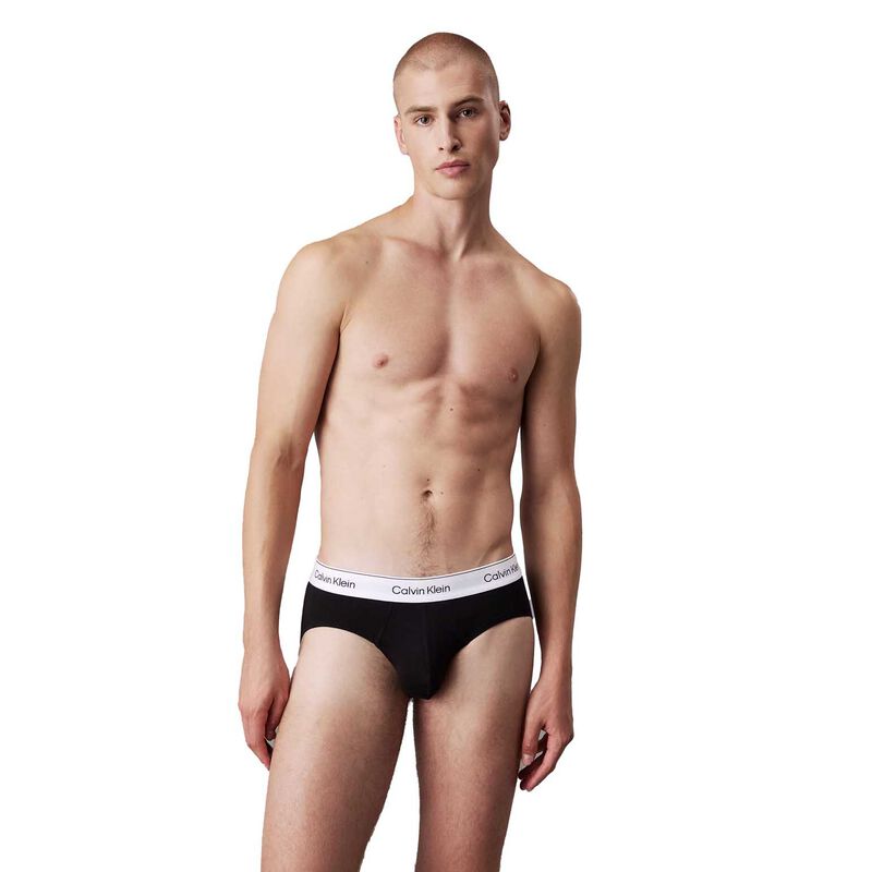Calvin Klein Icon Cotton Stretch Briefs - 3 Pack image number 0