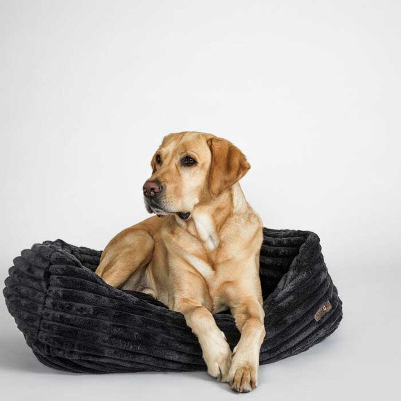 Jax & Bones Luna Black Napper Bed image number 1