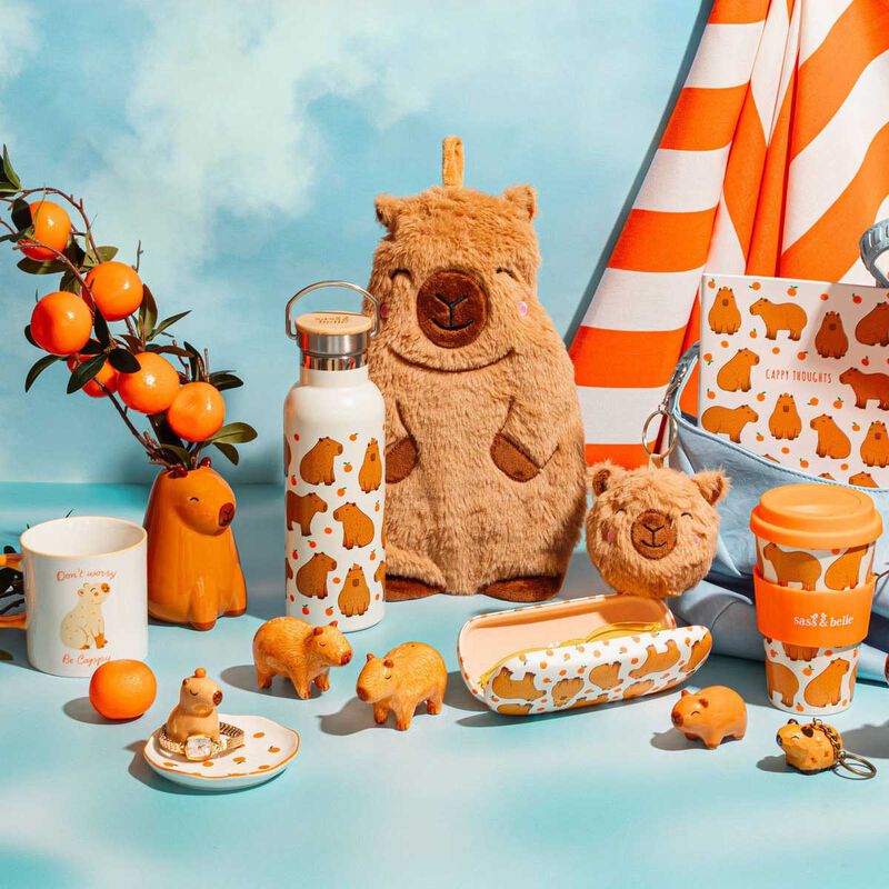 Sass & Belle Coco Capybara Hot Water Bottle image number 1