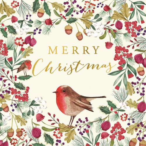 Image Gallery Robin Christmas Card Lux Box of 8