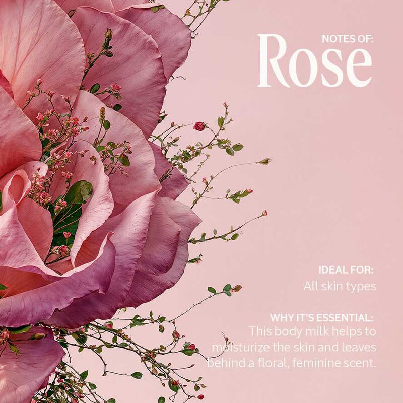 L'Occitane Rose Perfumed Body Lotion 250ml image number 3