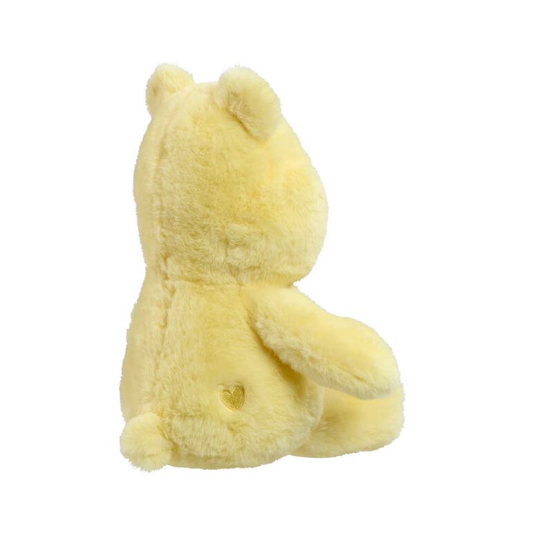 Care Bears Baby My First Funshine Bear Soft Toy image number 3