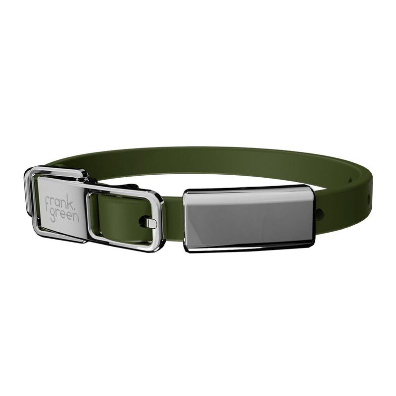 frank green Pet Collar + Name Tag - Small image number 0
