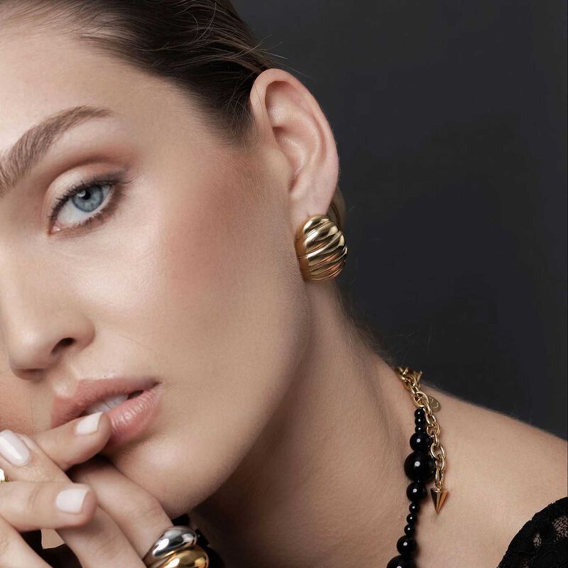 Silk & Steel Mystique Earrings image number 1