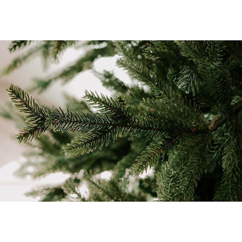 Christmas Tree Nordic Fir 6.5 Foot image number 1