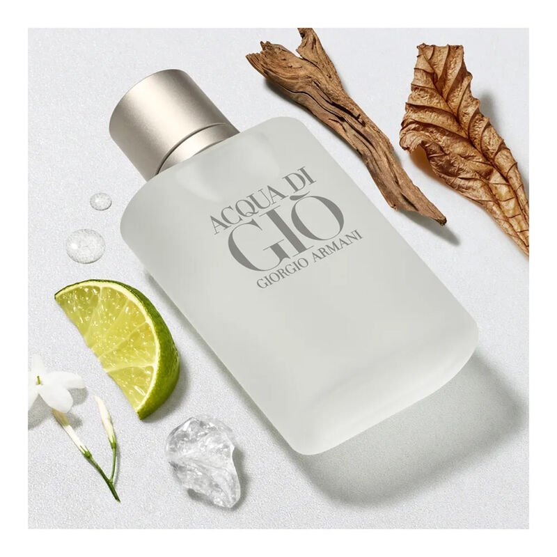 Giorgio Armani Acqua di Giò for Men EDT 100ml image number 2
