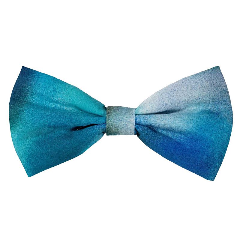 Parisian Floral Spray Dean Band Pre-Tied Bow image number 0