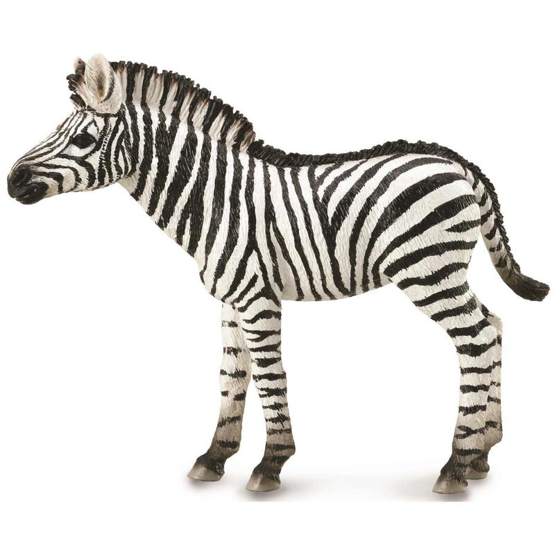 CollectA Zebra Foal image number 0