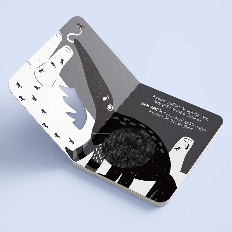 High Contrast Board Book Touch And Feel: Rawr Rawr! image number 1