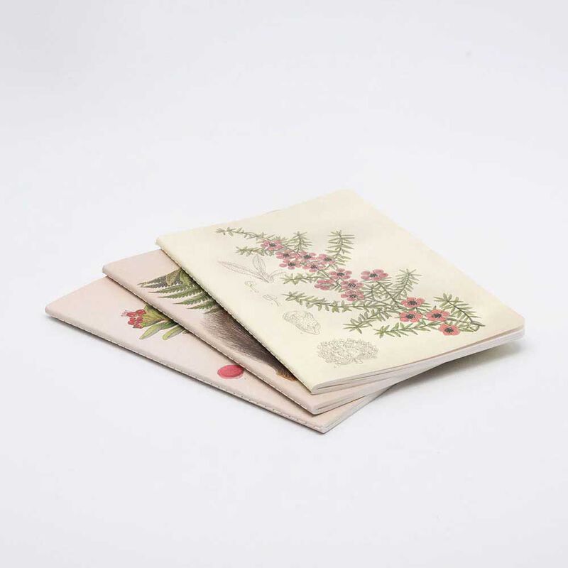 Bright Botanical Notebook Set image number 1