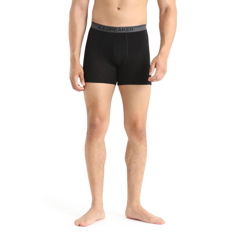 Icebreaker Mens Anatomica Boxers image number 4