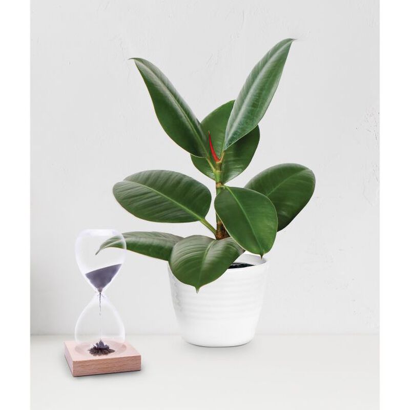 Maverick Sands Of Time Magnetic Hourglass image number 1