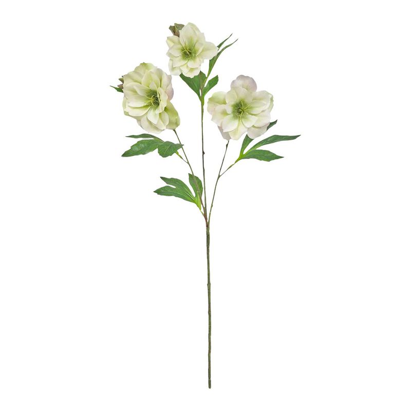 Alison's Acquisitions Tall Christmas Rose image number 0