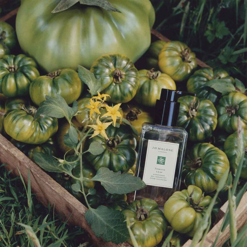 Jo Malone London Tomato Leaf Hand Wash 250ml image number 1