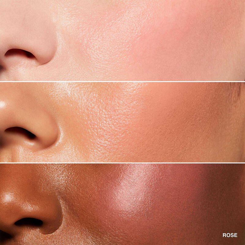 Bobbi Brown Pot Rouge for Lips & Cheeks image number 17