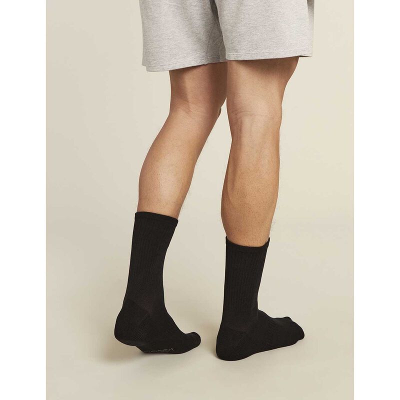 Boody Men's Cushioned Quarter Crew image number 1