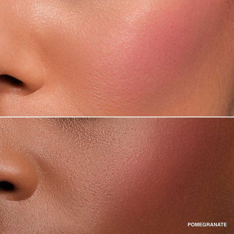 Bobbi Brown Pot Rogue Velvet Matte image number 38
