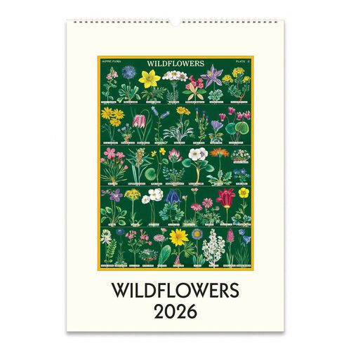 Cavallini Wildflowers 2026 Wall Calendar