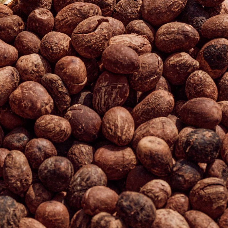 L'Occitane Shea Butter Lip Stick Balm 4.5g image number 2